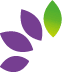 PurpleTree